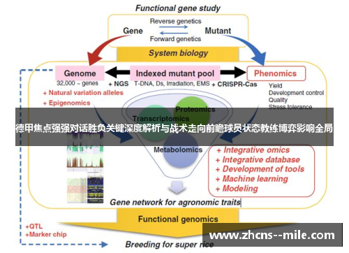 德甲焦点强强对话胜负关键深度解析与战术走向前瞻球员状态教练博弈影响全局